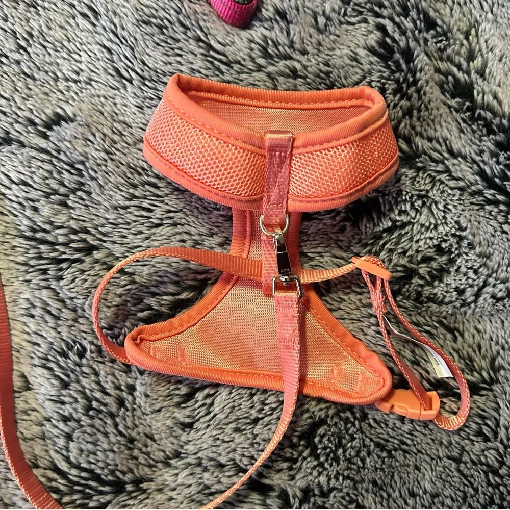 XS Pet harnesses / leashes